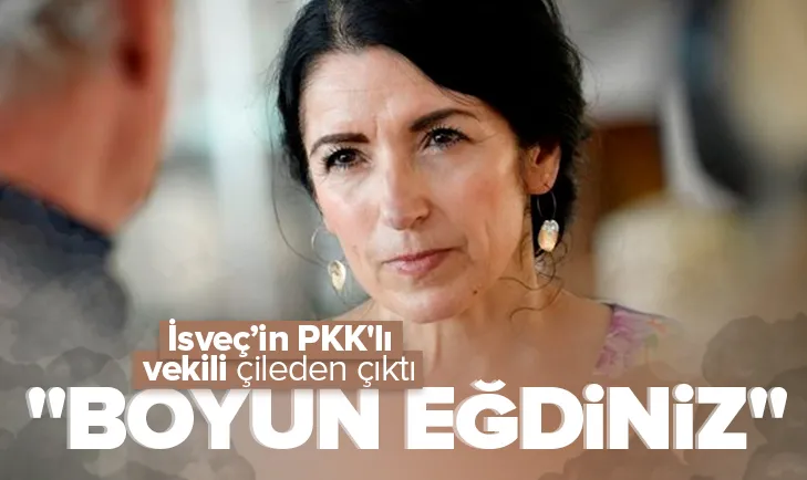 Türkiyenin kırmızı çizgisi İsveçin PKKlı vekili çileden çıkardı!