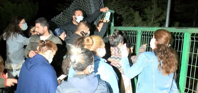 Çankaya Belediyesi barınaktaki hayvanların canına kastetti!