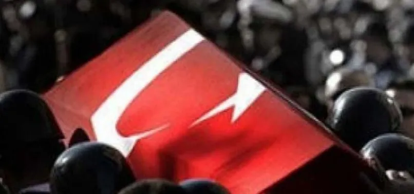 MSB açıkladı: Bir Mehmetçik şehit oldu