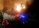 Antalya Manavgatta orman yangını