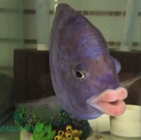 ahaber