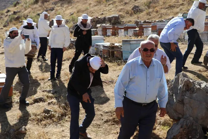Verimli bal sezonu için şükür duasında arılar saldırdı - 4