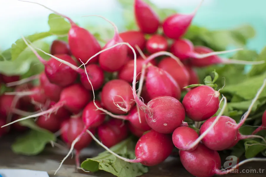 Koronavirüs (Covid-19) öksürüğü nasıl anlaşılır? Yemek yerken ve su içerken öksürüyorsanız dikkat! İşte kovid-19 öksürüğünü ayırt etmenin yolları 18