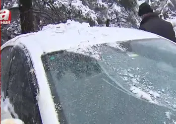 Ağaç otomobillerin üzerine devrildi