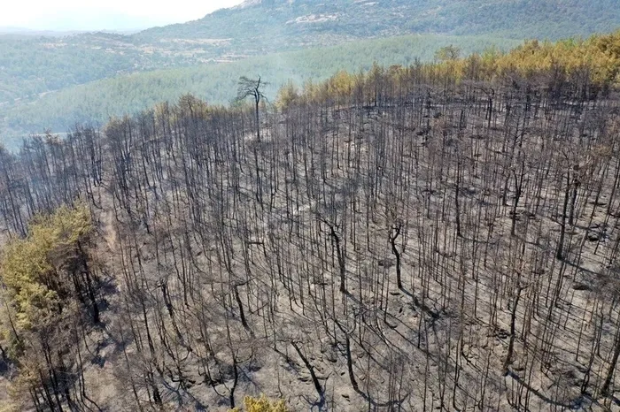 Orman yangınlarıyla mücadele! Alev kapanlarında son durum ne? İşte bölge bölge yangın raporu - 11