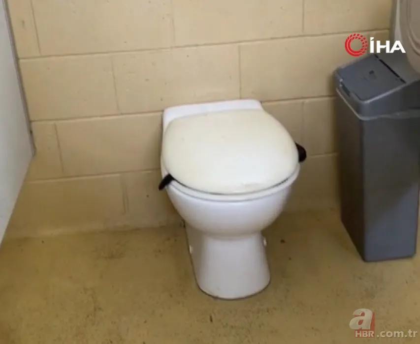 Havalar ısınınca ortaya çıktı! 1 metre uzunluğunda zehirli kocabaş yılanı böyle görüntülendi 3