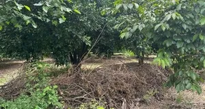 Yürüyüş sırasında gördüğü manzara kan dondurdu