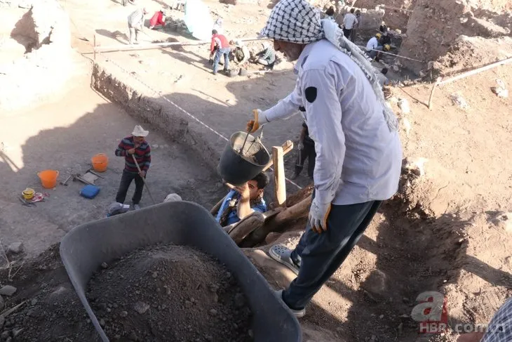 Diyarbakır’daki kazılarda bulunanlar müzeye teslim edildi! Tıpkı Göbeklitepe’deki gibi
