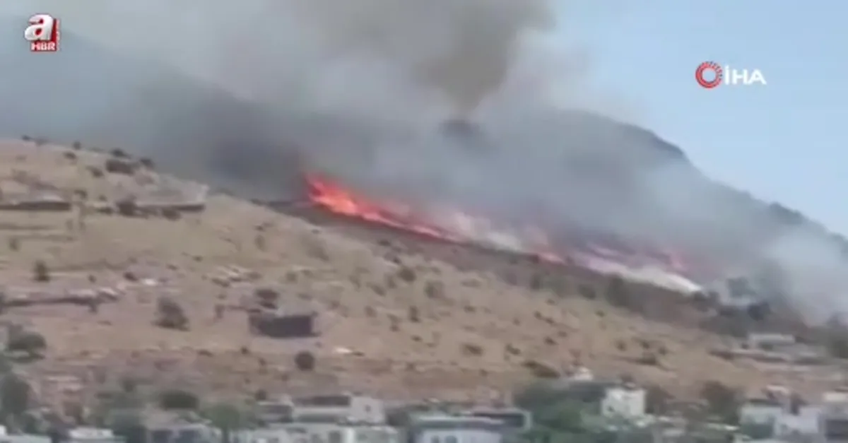 Türkbükü’nde makilik yangını