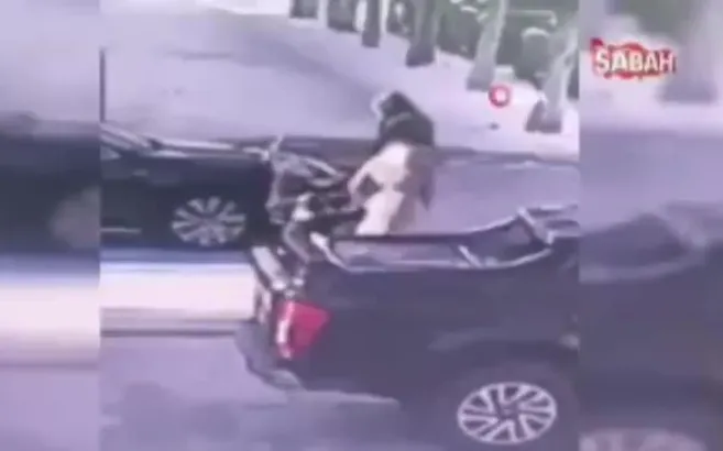 Türkiye bu çocuğu konuşuyor!