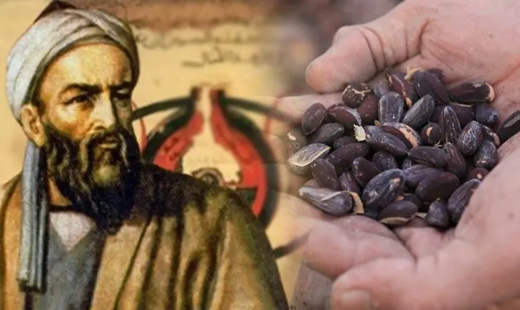 İbn-i Sina 1000 yıl önce önerdi! Bu 3 besini tüketen 100 yaşını görüyor...