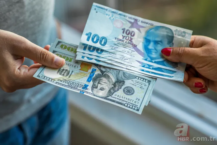 Dolar 8-9-10 TL olur mu? Dibe vuran doların yeni çizgisi ne olacak? Dolar/TL kurunda 10 TL altı beklentisi... 10