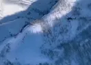 Diyarbakırdaki operasyonun görüntüleri paylaşıldı! Film sahnesi değil hayatın ta kendisi!