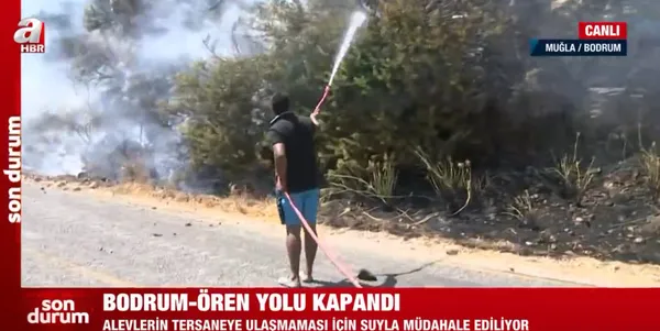 Muğla’daki Çökertme’de yangın büyüdü! Bodrum-Ören yolu kapandı A Haber ekibi o anları anbean aktardı