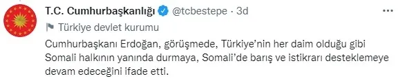 Başkan Erdoğan Somali Cumhurbaşkanı Hasan Şeyh Mahmud ile görüştü - 2