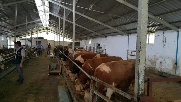 İhaleyle ucuz araba yalanıyla 90 milyonluk vurgun yapan şahıslar tutuklandı - 3