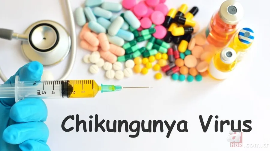 Çin’de virüs alarmı: Chikungunya virüsü nedir? Chikungunya hastalığı nasıl bulaşır, belirtileri neler, tedavisi mümkün mü? 8