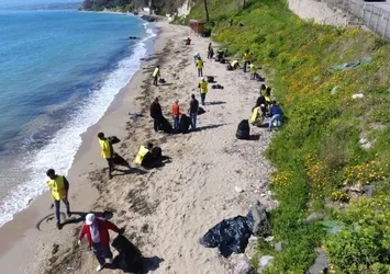 Sinop'ta torba torba topluyorlar