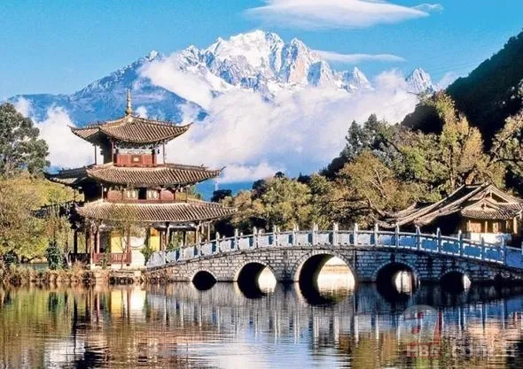 Türkiye en çok hangi ülkeden göç aldı? Türkler en çok hangi ülkelere göç etti 16