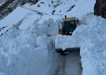 Hizan’da köy yoluna çığ düştü