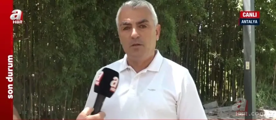 İşte sokak köpekleri için hazırlanan yasa teklifi! Başıboş köpek sorununa nasıl çözüm bulunacak? 17