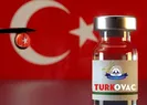 Yerli aşı Turkovactan büyük başarı!