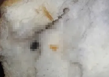 Elazığ'da mide bulandıran olay! Ekmeğin içinden bu kez de...
