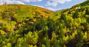 Gümüşhane renk cümbüşüne döndü