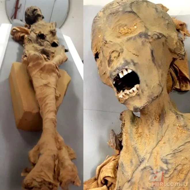 Gizemli iskeletin sırrı çözüldü! Uzaylıya mı ait? UFO teorileri üzerinde duruluyordu… Gerçek bambaşka çıktı 10