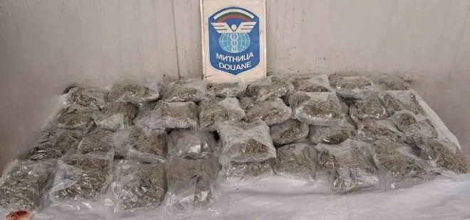 Aydın'da mera ıslah projeleri sürüyor