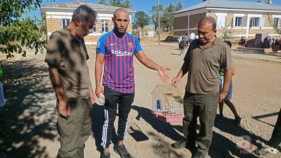 Kamufle olup ölü taklidi yaptı! Diyarbakır'da nesli tükenmekte olan hayvan köylüler tarafından fark edildi 2