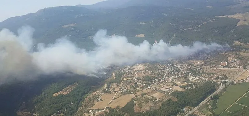 İzmir'in Menderes ilçesinde orman yangını çıktı