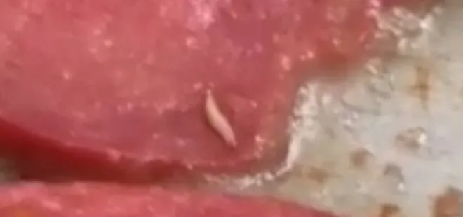 Elazığ’da mide bulandıran olay! Marketten aldığı sucuğun içinden öyle bir şey çıktı ki...