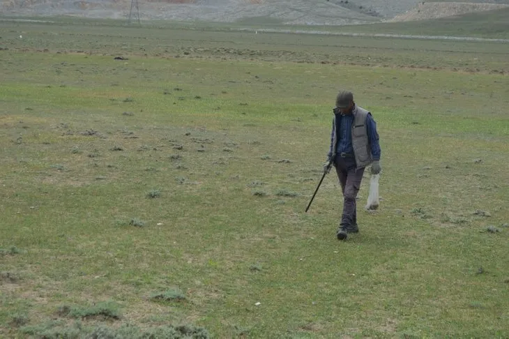 Afyonkarahisar'da vatandaşlar domalan mantarlarını toprak altında define gibi aranıyor