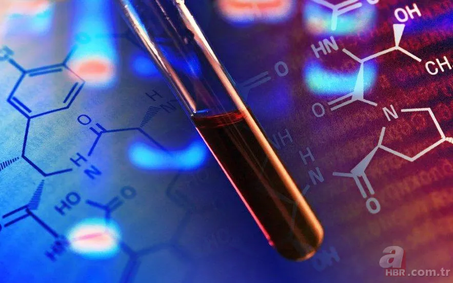 Hangi kan grubu nasıl beslenmeli? İşte kan grubunuza göre tüketmeniz gereken besinler... 12