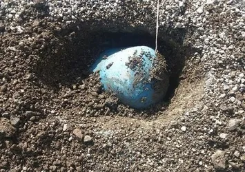 Mardin'de yola tuzaklanmış patlayıcı imha edildi