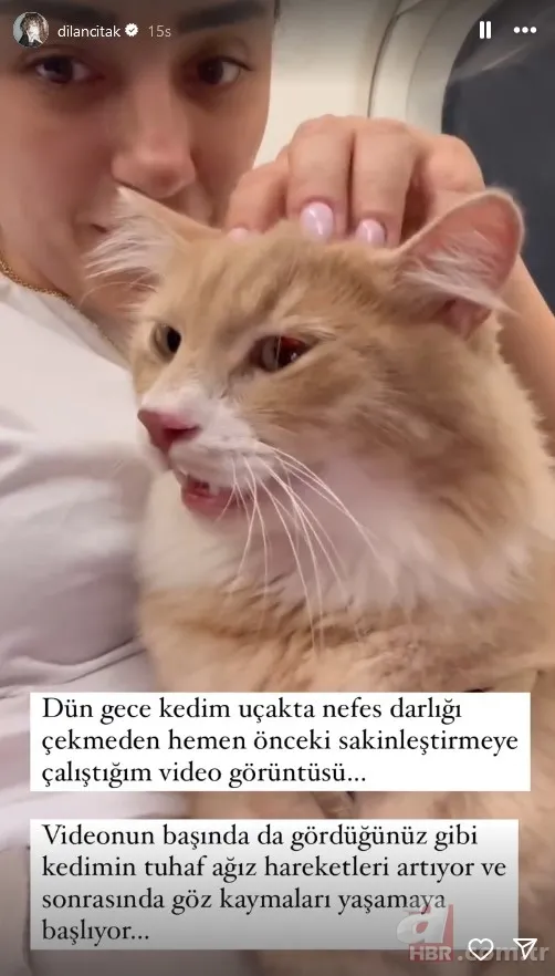 Uçakta hostese saldıran Dilan Çıtak'tan polise: 'Seni yerler koçum' 9