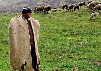 150 bin çoban açığını Afganlar kapatacak