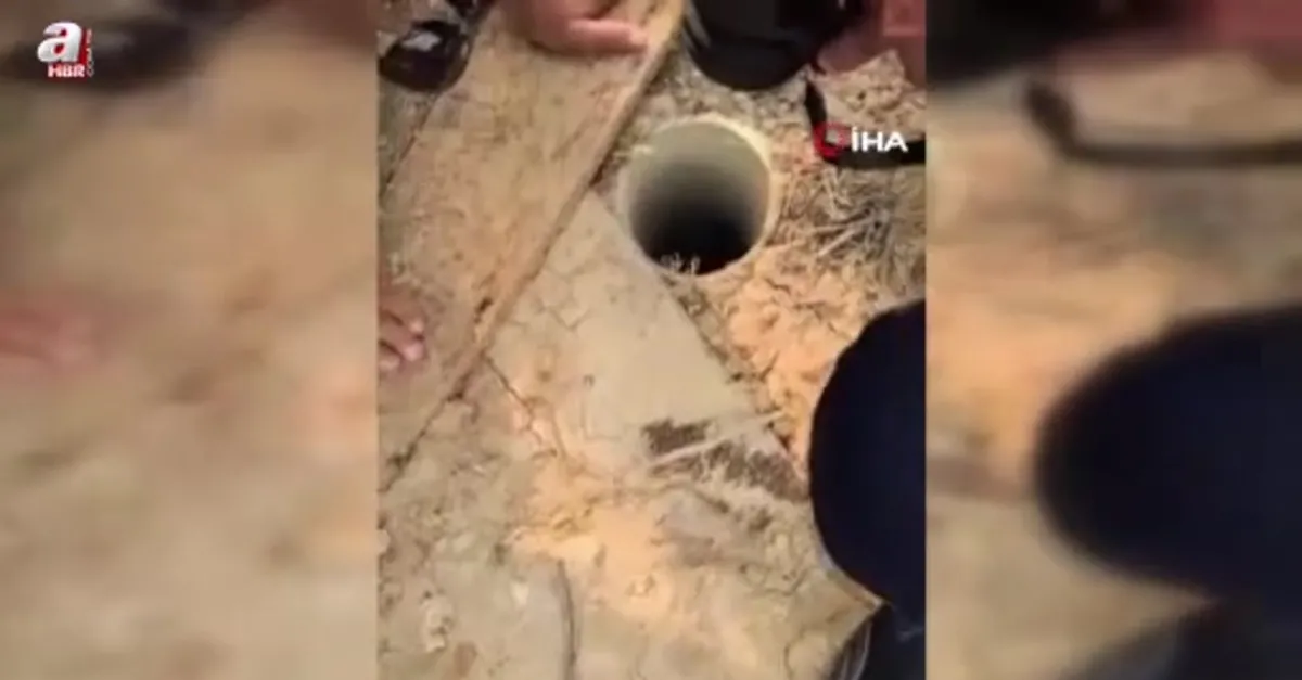 Su borusuna düşen yavru kedi kurtarıldı