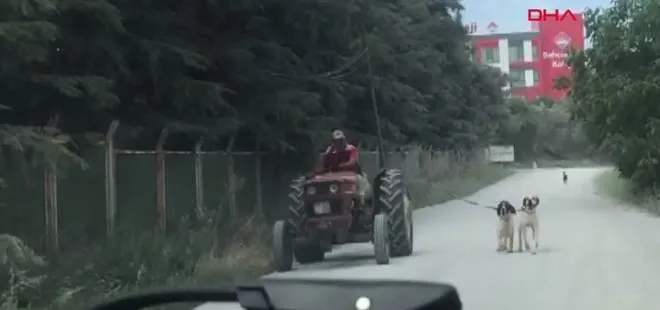 Çanakkale’de çiftçi iki köpeğini traktöre bağlayıp götürdü! Vatandaşlar tepki gösterdi