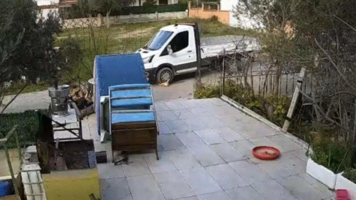 Vicdanları yaralayan görüntüler! Yerde yatan köpeği ezdi yoluna devam etti