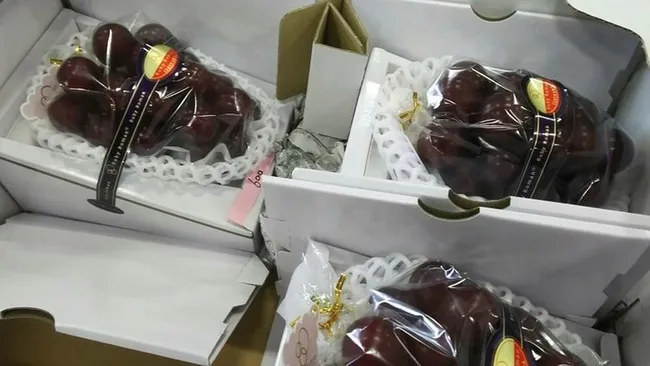 Japonya'da bir salkım üzüm 83 bin liraya satıldı - 2