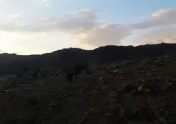 Tendürek Dağı'nda saniye saniye operasyon anı