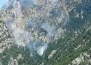 Osmaniyede orman yangını