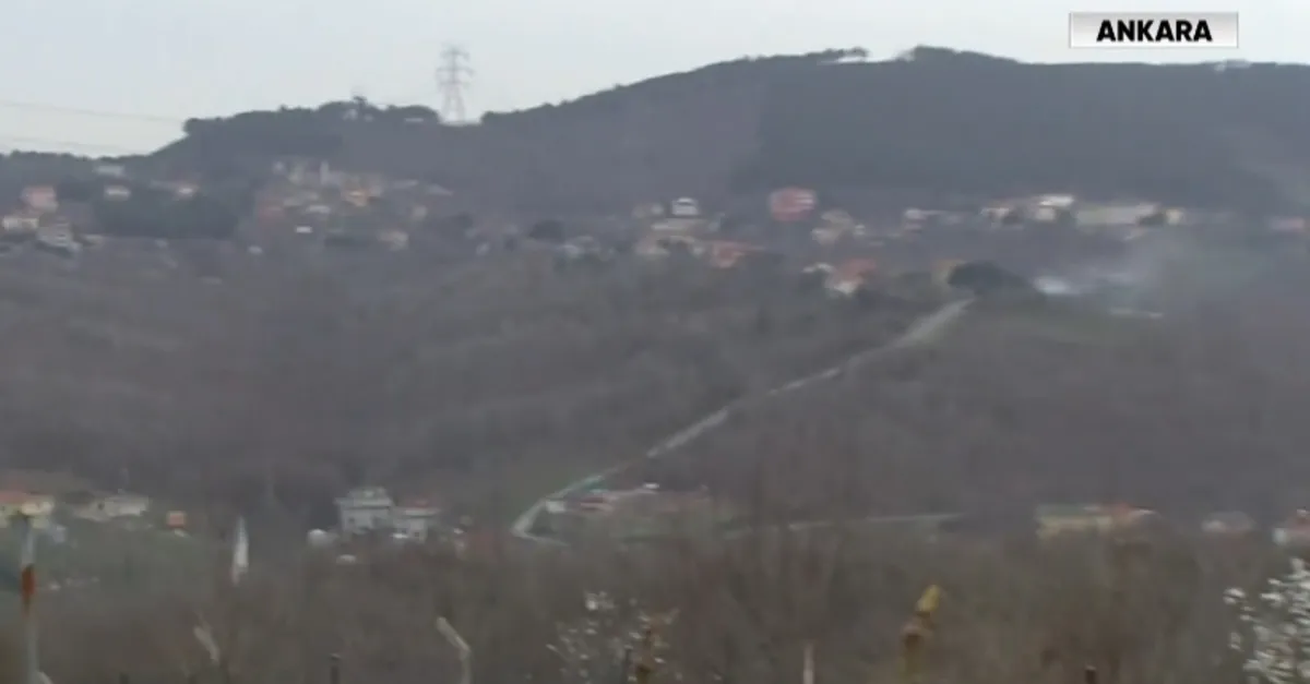 2B arazilerine tapu! İşte başvuru şartları