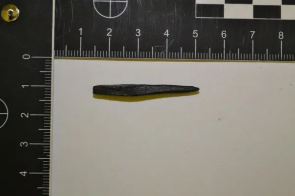 Dışişleri Bakanı Mevlüt Çavuşoğlu Macaristan’da yakalanan 412 tarihi eseri Türkiye’ye getiriyor