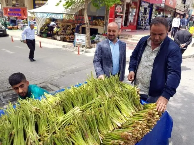Işgın geçim kaynağı oldu! Tadına bakan kilo kilo alıyor - 3