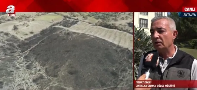 Yanan ormanlar rehabilite edilecek! Yanan alanlar nasıl kurtarılacak?