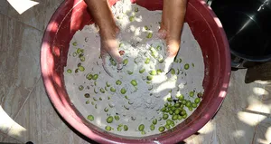 Lezzetini külden alan yeşil zeytin