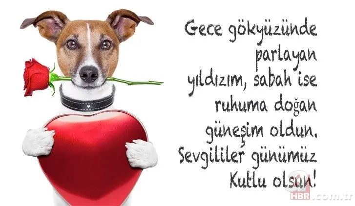 Sevgililer Günü hediyesi bayan için erkek için neler alınabilir? 14 şubat Sevgililer Günü hediye fikirleri 8